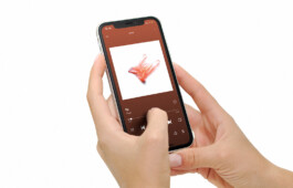 Oval - popp Folio – João Telmo