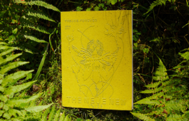  Folio – João Telmo