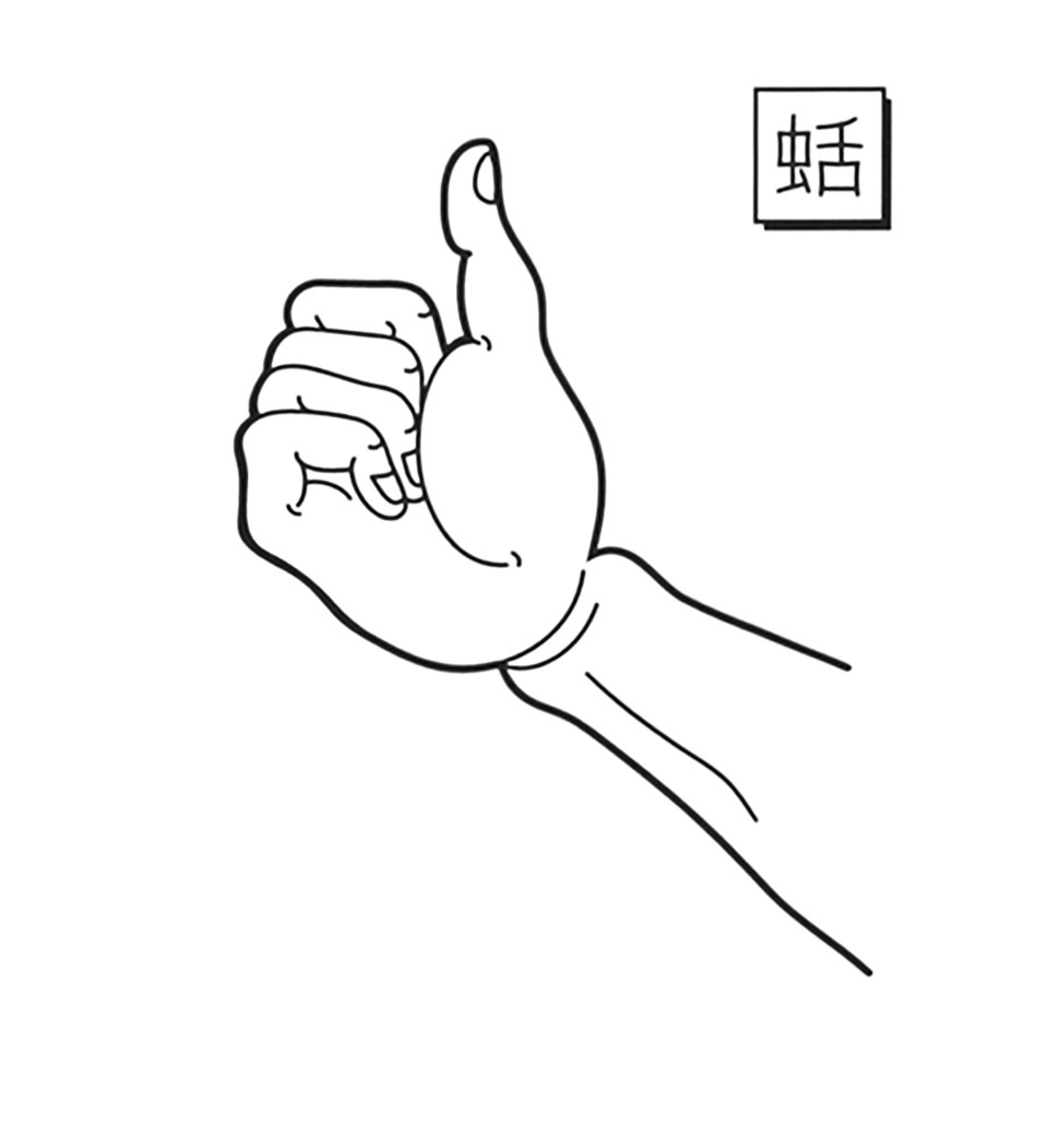 Gif Sansukumi-ken Folio – João Telmo