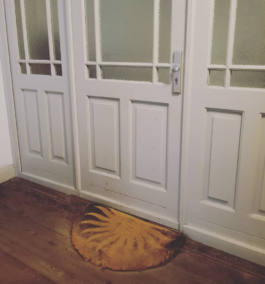 Folio – João Telmo